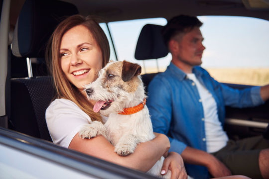 Los mejores road trips en coche de España