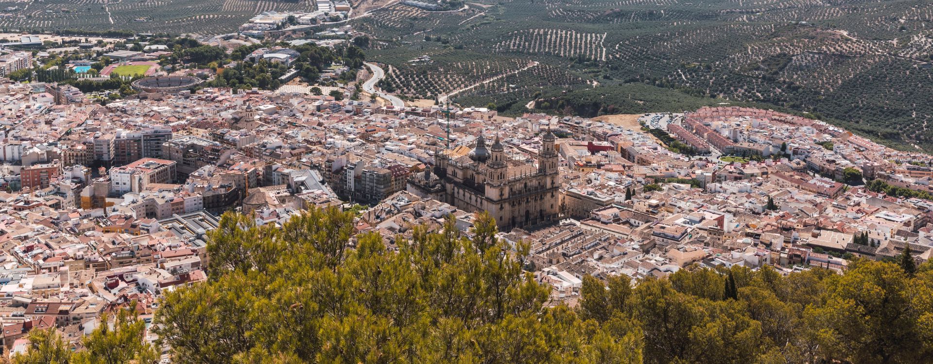 renting coches jaen Coches de Renting en Jaén