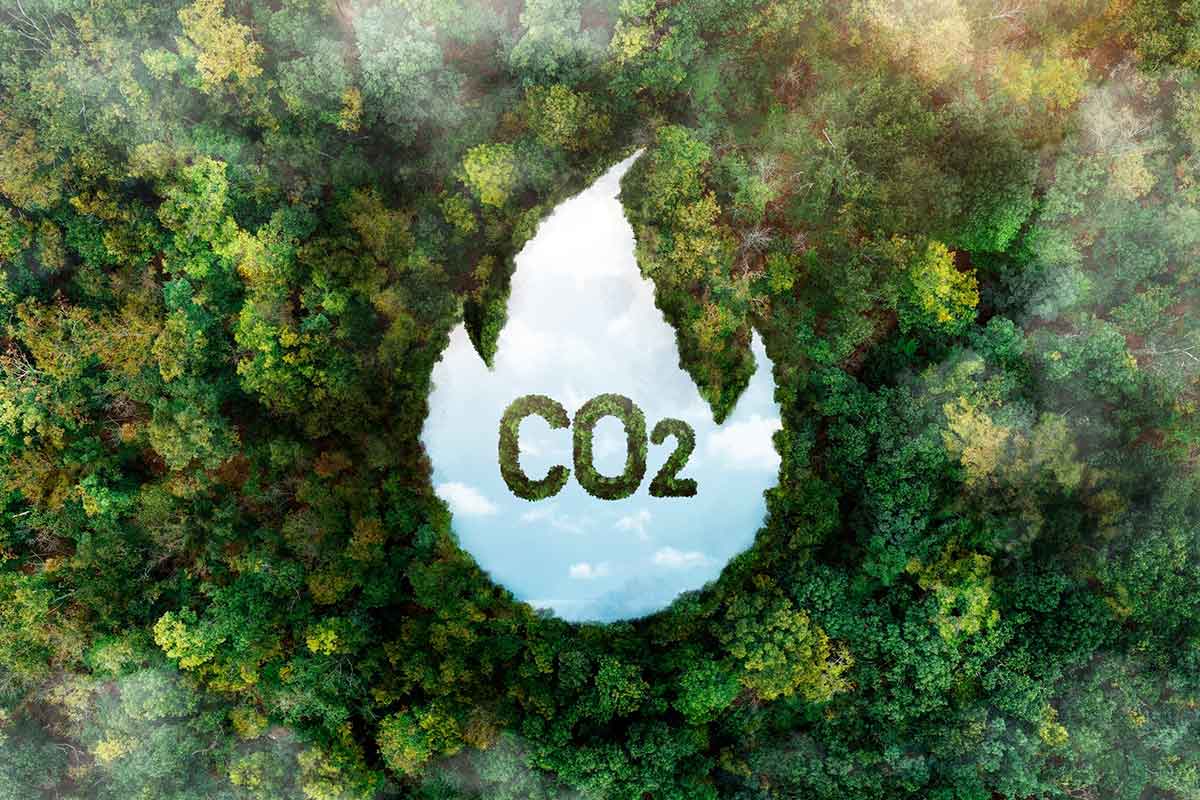 como ayuda el renting a reducir la huella de carbono Cómo ayuda el renting a reducir la huella de carbono