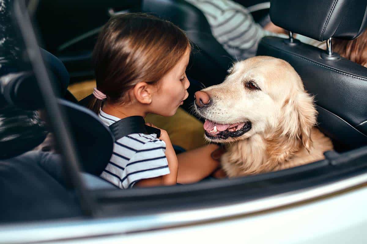 Niña con perro en el coche viajando
