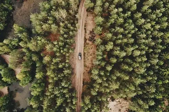 4x4 de renting ideales para guardabosques y brigadas forestales