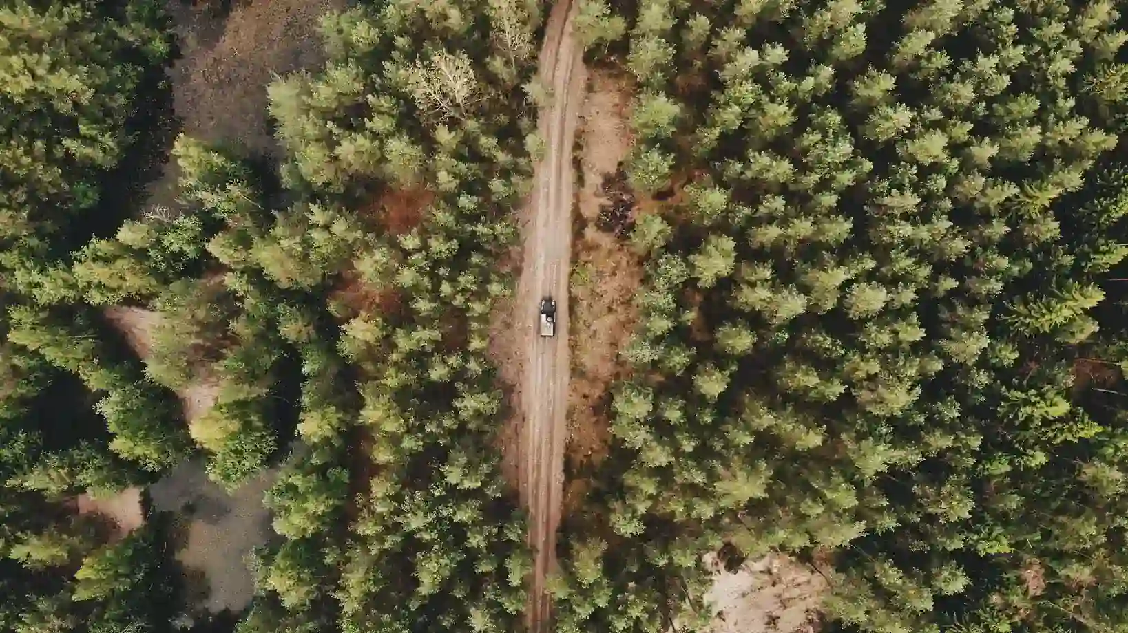 4x4 de renting ideales para guardabosques y brigadas forestales
